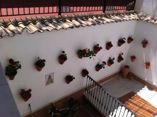 Don Paula, Cordoba