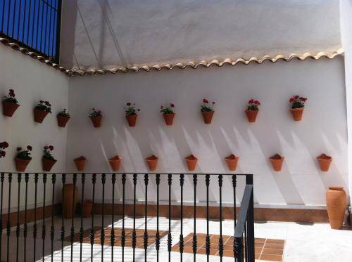 Don Paula, Cordoba