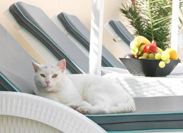 Evgenia Villa Hotel, Santorini