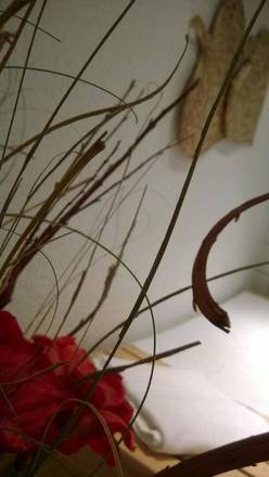 Golden Leaf Hotel Stuttgart Airport & Messe, Stuttgart