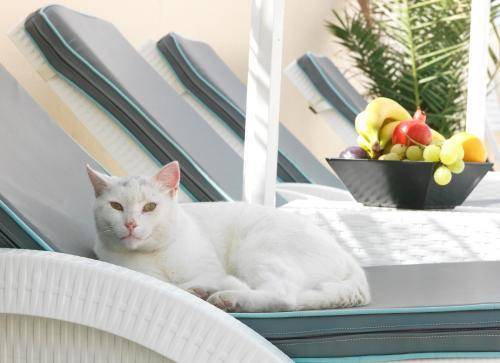 Evgenia Villa Hotel, Santorini